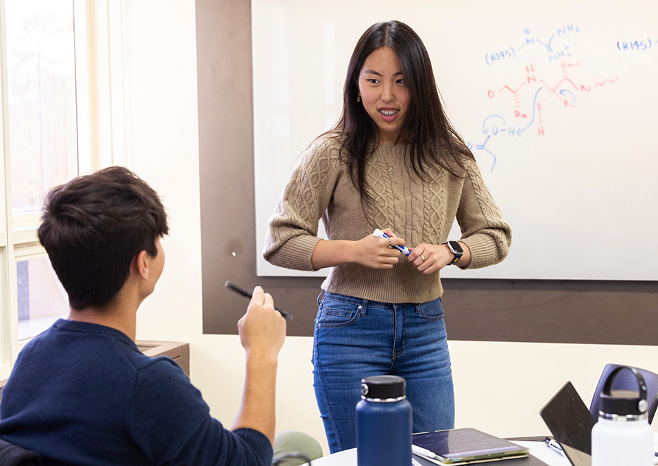 student and counselor