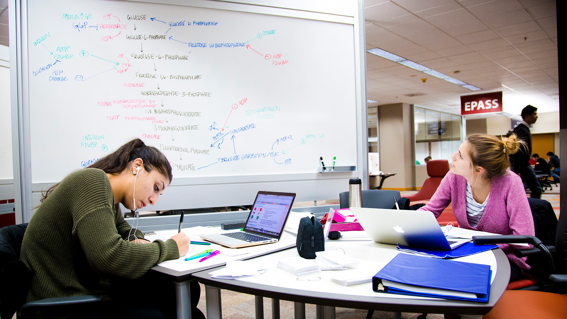 students studying in library