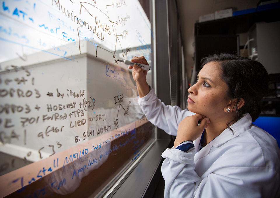 student writing calculations on window glass